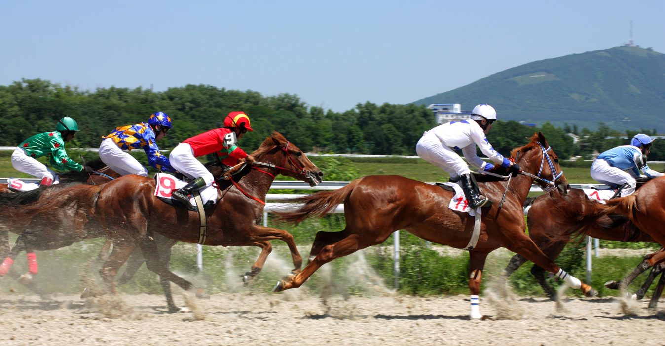Courses hippiques